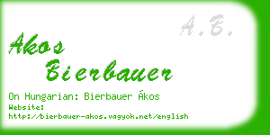akos bierbauer business card