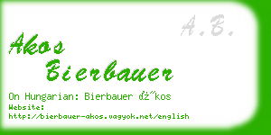 akos bierbauer business card